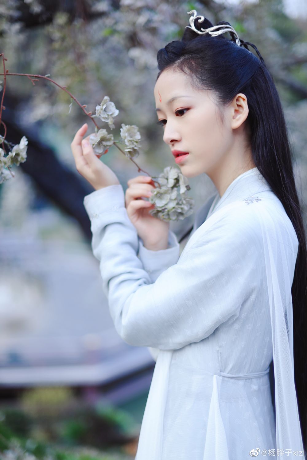 Xizi Yang Sexy and Hottest Photos , Latest Pics