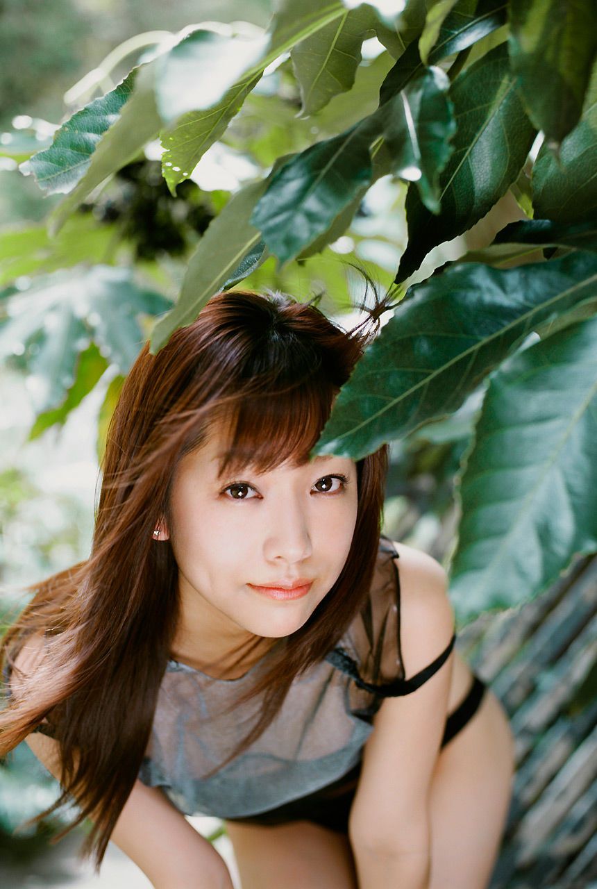 Noriko Shiina Sexy and Hottest Photos , Latest Pics